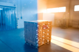 How Weather Affects Fresh Flower Logistics