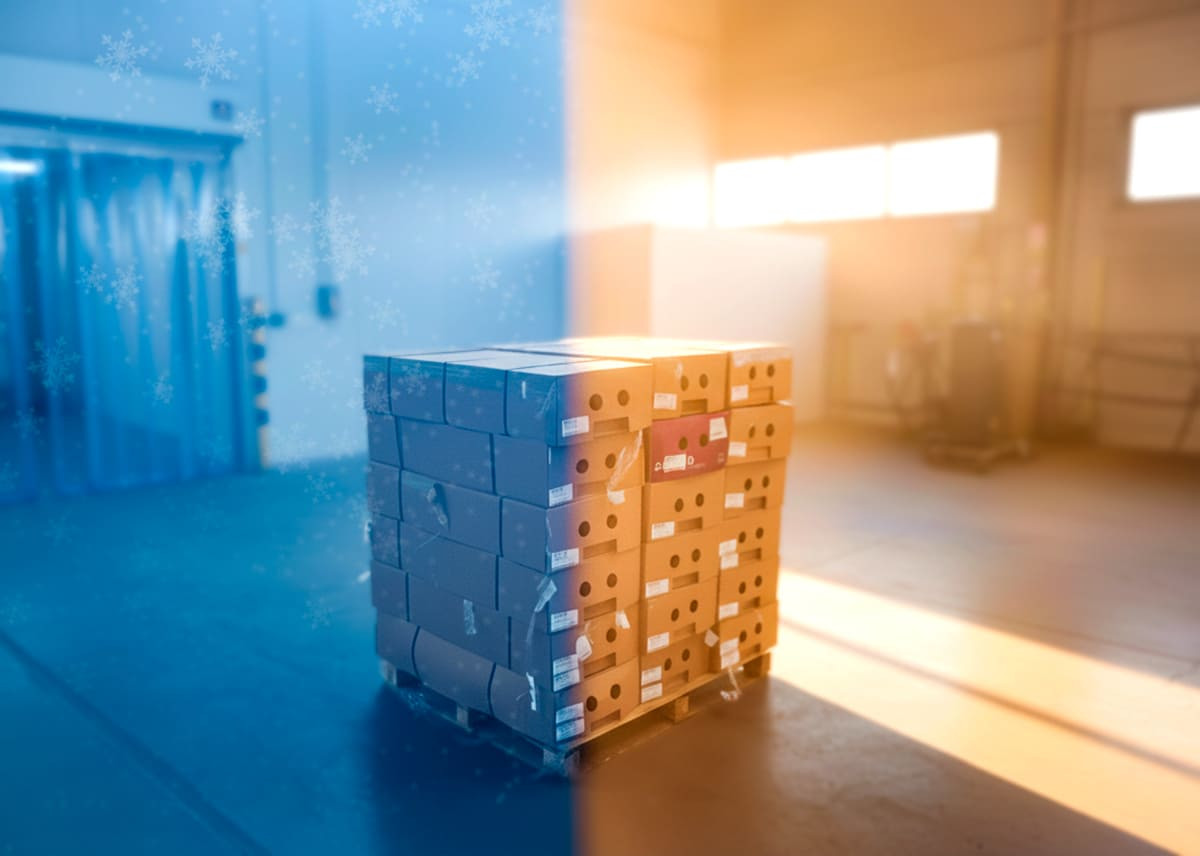 How Weather Affects Fresh Flower Logistics How Weather Affects Fresh Flower Logistics