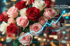 Por qué la previsión de la demanda ayuda a reducir los costes logísticos en el sector floral