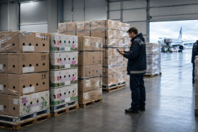 Top 10 Cut Flower Exporting Countries in the Global Market